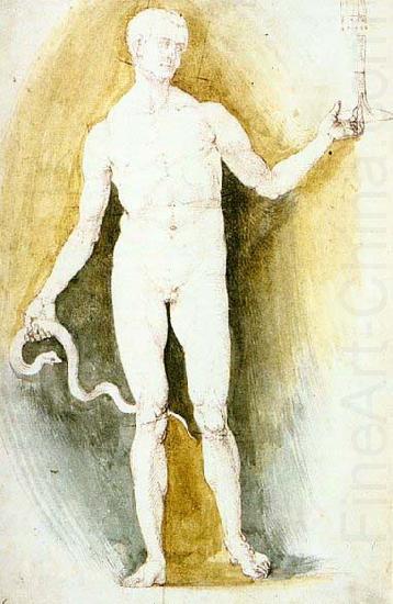 Male Nude with a Glass and Snake, Albrecht Durer